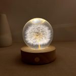 Illuminated Dandelion Crystal Ball Night Light