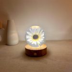 Illuminated White Daisy Crystal Ball Night Light